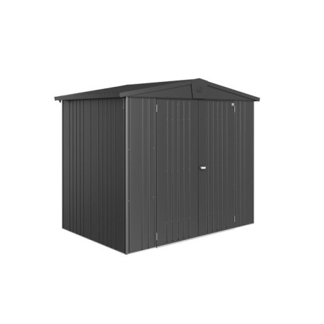 Abri de jardin Europa Taille 3 - Gris foncé métallique Biohort